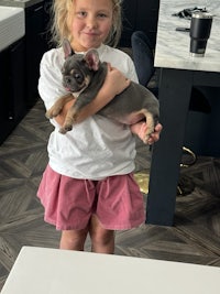 a little girl holding a french bulldog in a kitchen